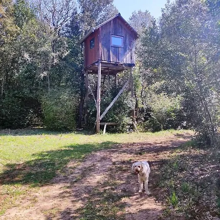 Casa vacanze Casetta Olivetta