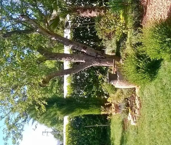 Casetta Olivetta Сasa de vacaciones Šišan