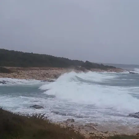 度假居 Casetta Olivetta