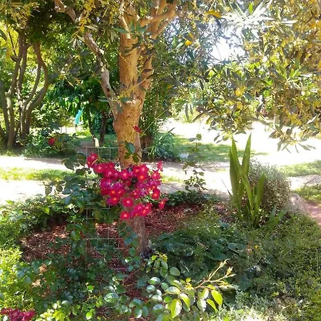 Casetta Olivetta Hébergement de vacances