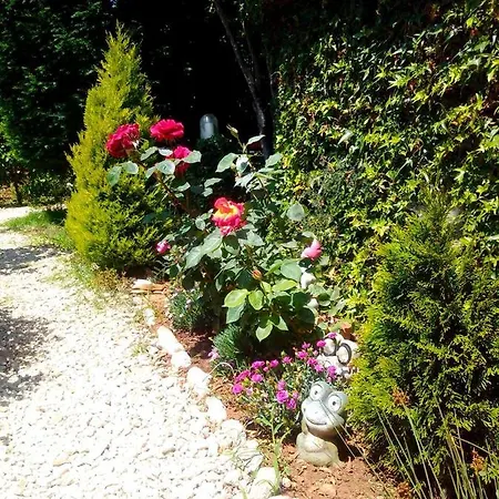Holiday home Casetta Olivetta Sisan