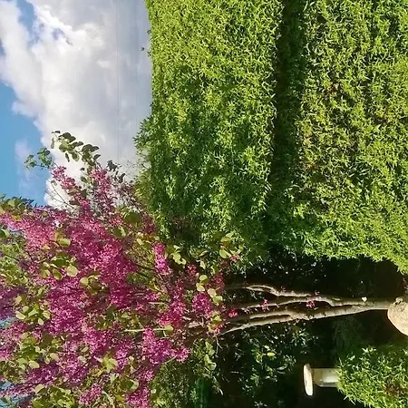 Hébergement de vacances Casetta Olivetta *