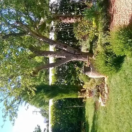 Casetta Olivetta Holiday home Sisan