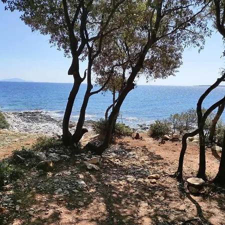 Holiday home Casetta Olivetta *