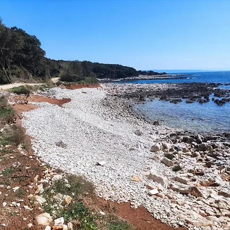 Casetta Olivetta Holiday home *