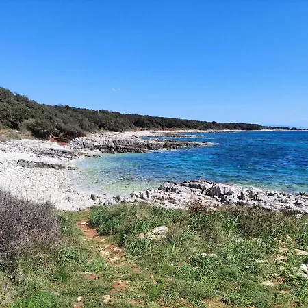 Holiday home Casetta Olivetta Sisan