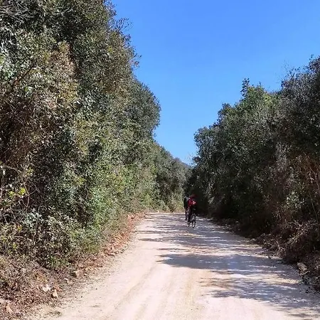 Casetta Olivetta Casa vacanze Šišan