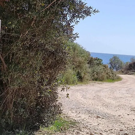 Holiday home Casetta Olivetta