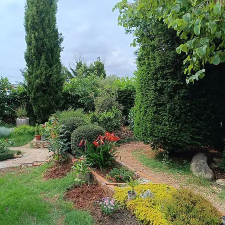 Casetta Olivetta 度假居