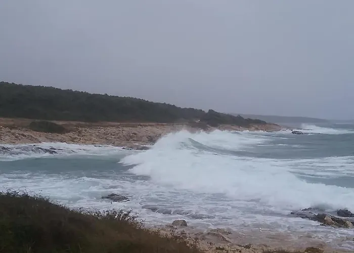 펜션 Casetta Olivetta