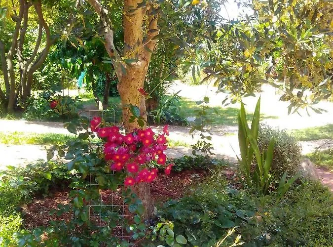 Casetta Olivetta Tatil Evi