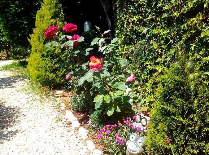 펜션 Casetta Olivetta Šišan