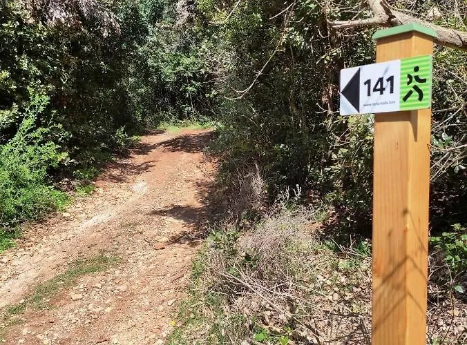 Casetta Olivetta Šišan