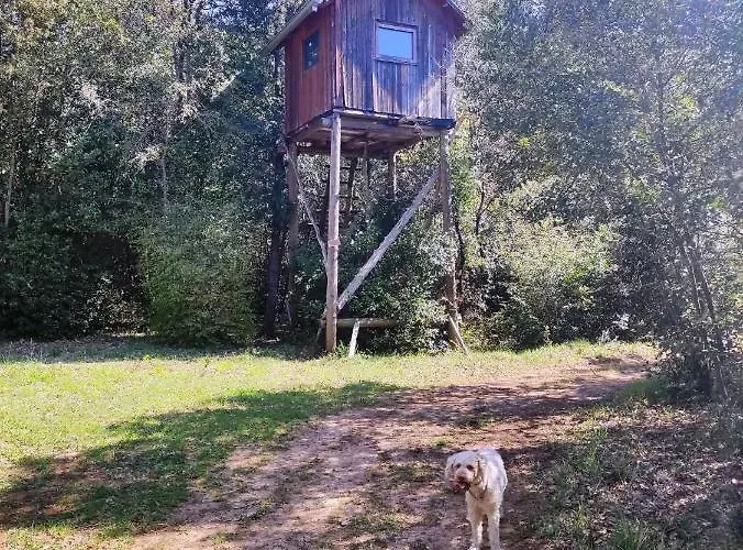 펜션 Casetta Olivetta