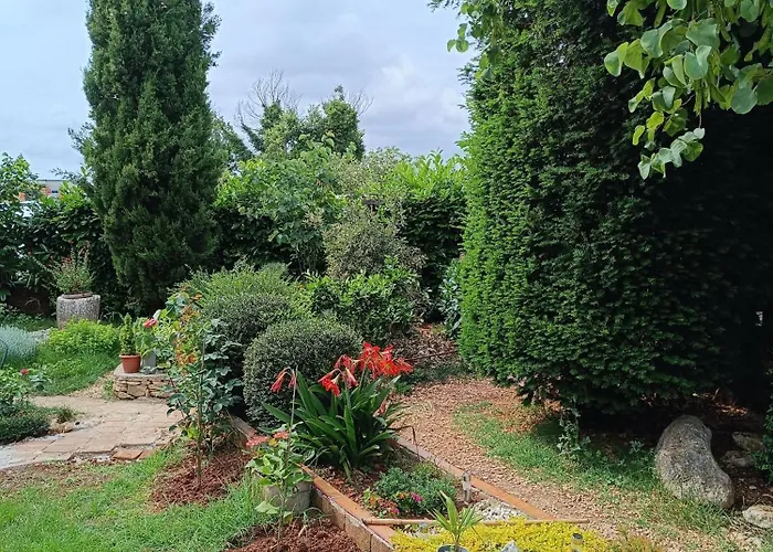 Casetta Olivetta Tatil Evi